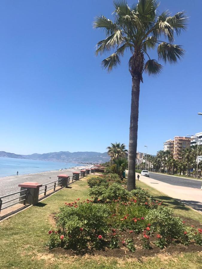 Empire Residence Alanya/Mahmutlar 50m от моря Екстер'єр фото